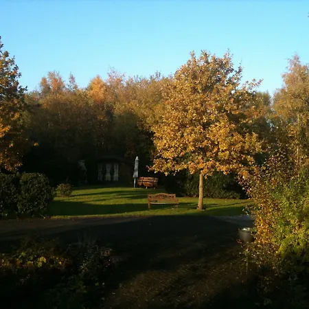 Restaurant Fischer فندق رمشيد